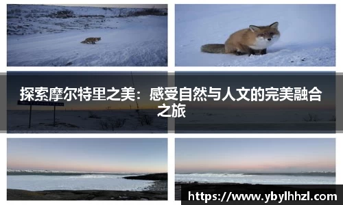qy千亿官网入口